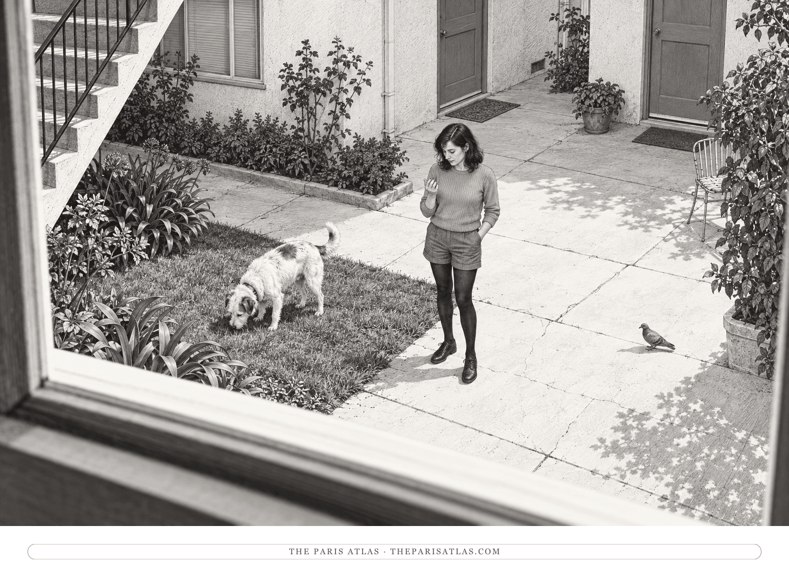 From an upstairs window, a woman checks her nails while a white dog sniffs a patch of grass near a pigeon.