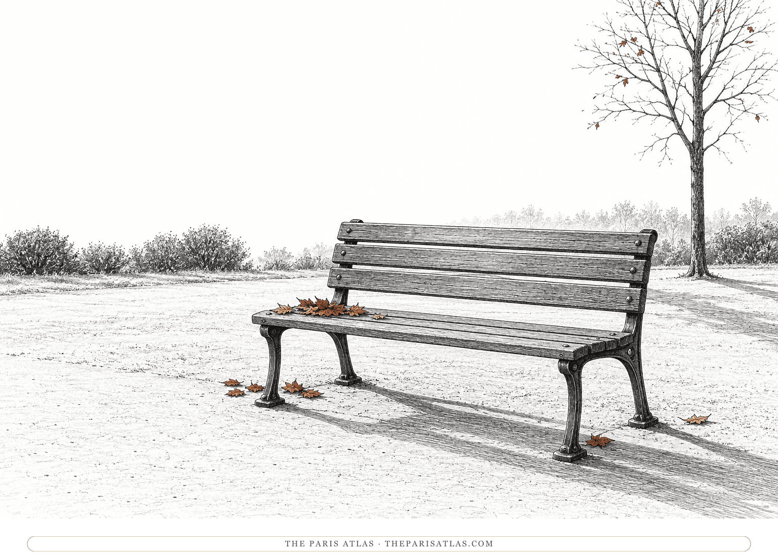 An empty park bench with rust-colored fallen leaves and a long shadow.
