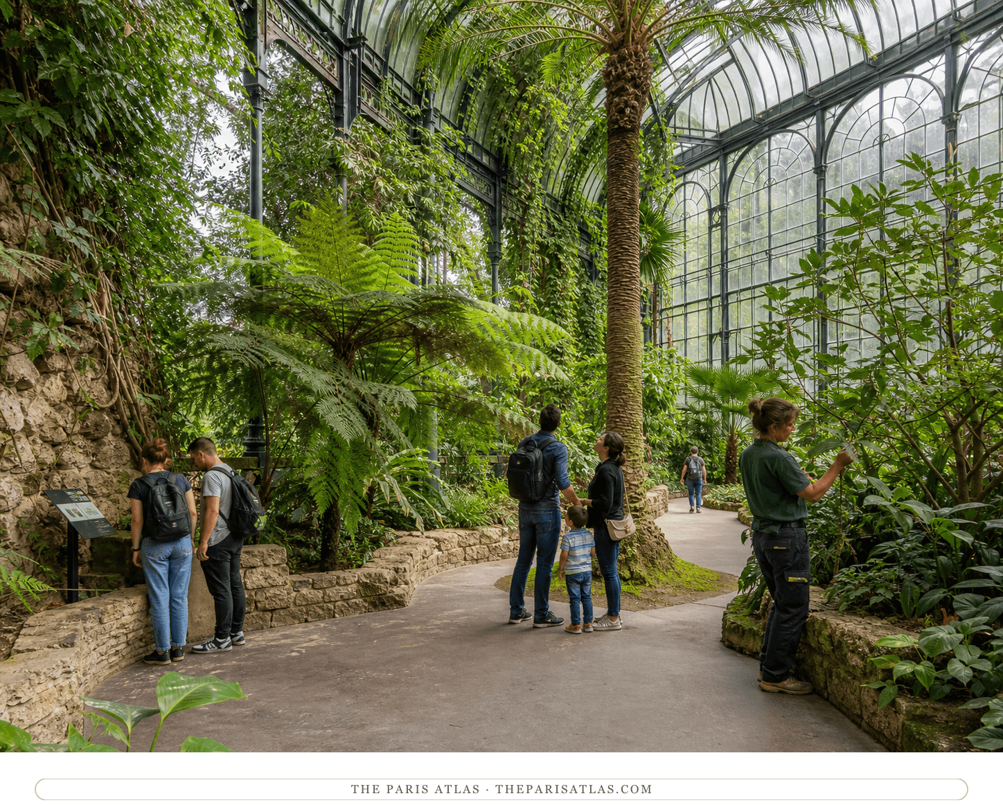 Visitors following a path through palms and ferns beneath the Grandes Serres glass roof
