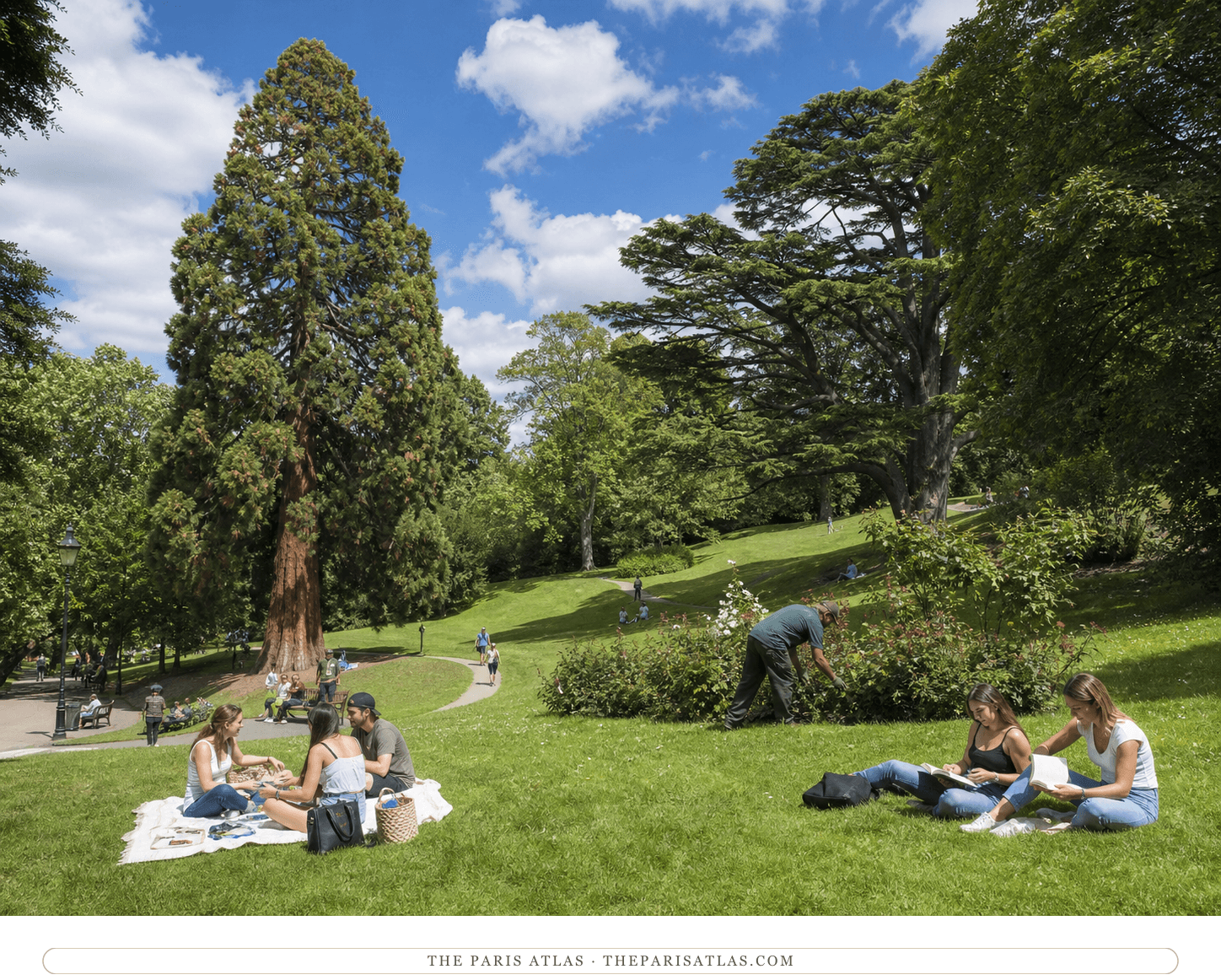 Visitors resting on the lawn near a giant sequoia in bright Parc Montsouris