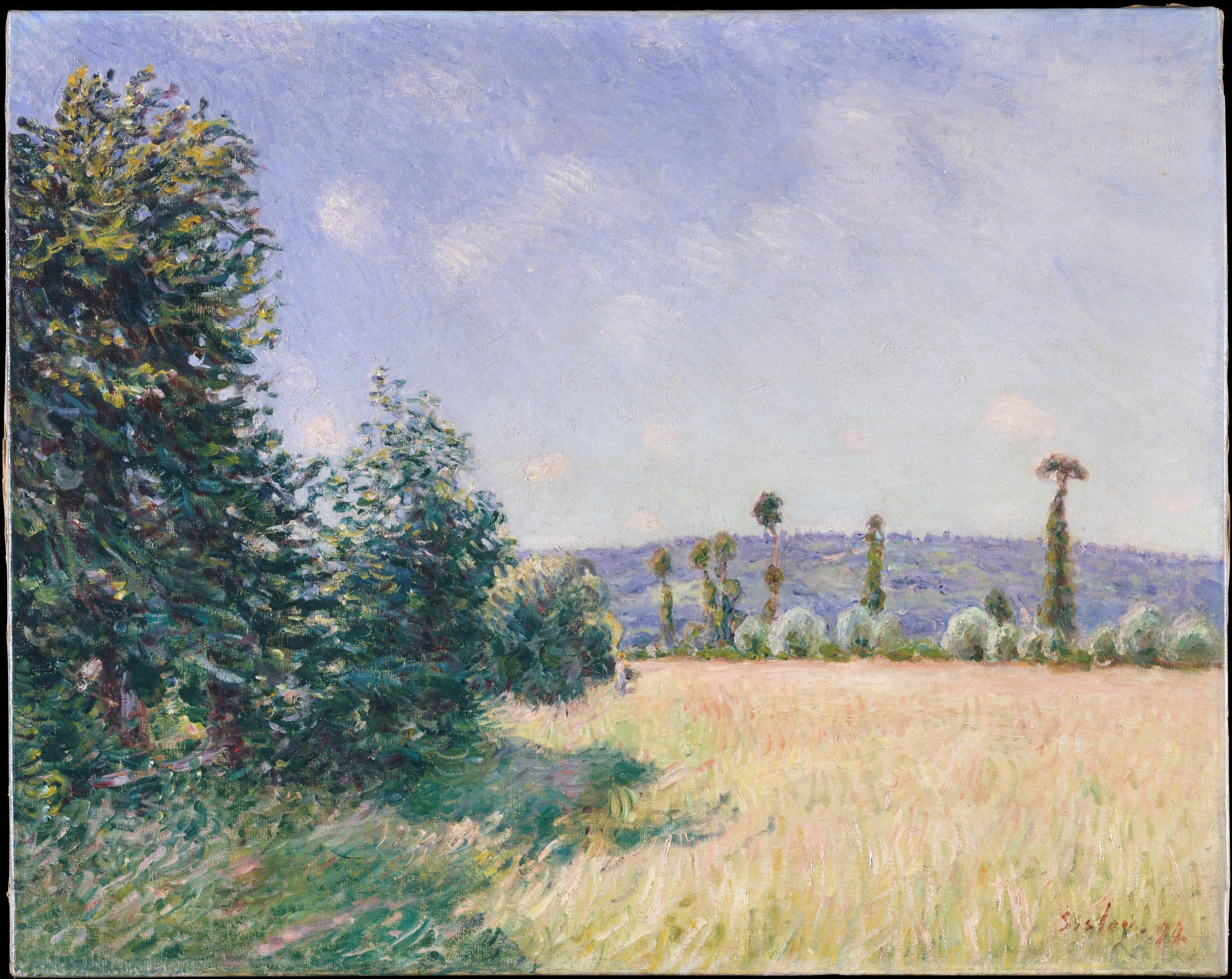 Sisley's Sahurs Meadows in Morning Sun: a dense mass of dark green trees filling the left of the canvas, an open meadow of cream and pink standing grass running away to the right, tall slender pollarded trees and low blue-violet hills across the background, under a pale lavender sky