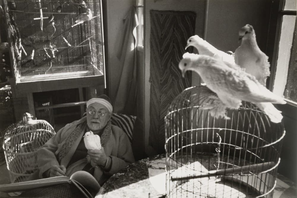An elderly Henri Matisse sits left of centre in a heavy pale robe with a broad band of geometric embroidery down the collar, a white knitted cap pushed back on his head, round wire-rimmed spectacles catching the light, and a white beard. A small white dove with feathered feet is cupped in his right hand at chest height, and his left hand rests flat on an open album across his lap. A cushion in bold black and white stripes is wedged behind his shoulder. A white domed wire cage stands at the far left with a white bird perched on its roof, and a large rectangular mesh aviary on a dark wooden stand rises behind him with three birds on its crossing perches. The right half of the frame is a tall empty cylindrical wire cage on a veined stone tabletop, with three large white doves perched on and above its dome, one upright with its head raised, one beside it with its beak open, and one lower with its wings partly spread, all three with heavily feathered legs. A painted timber window frame closes the right edge