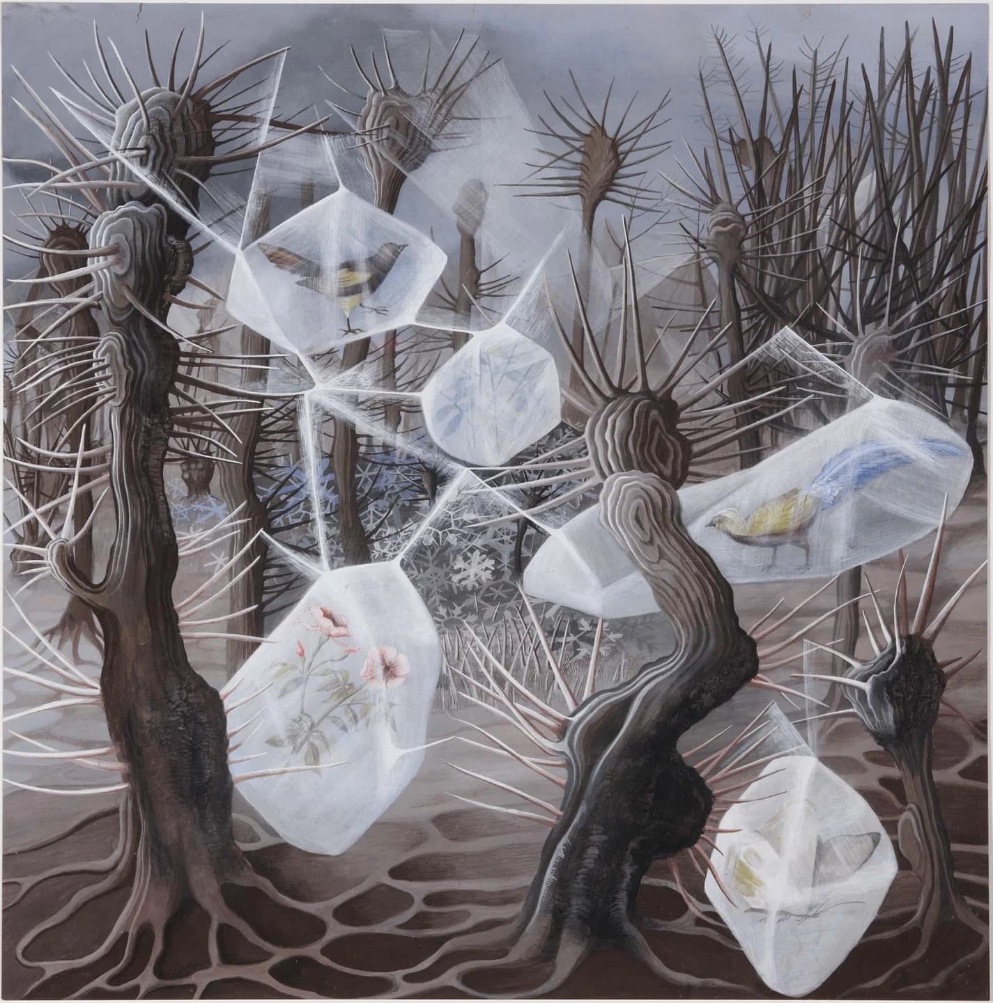 A square sheet showing a grove of trees cut back to knobbed stumps, each throwing out a burst of long pale spines in every direction, their dark trunks banded with fine concentric growth rings against a flat grey sky. Seven or eight faceted translucent cases hang among the trees, built up from thousands of fine white strokes so the branches show through their walls. One holds a small bird with brown wings, a barred grey breast and a yellow belly; another a pink flower with a dark centre on a leafy stem; others hold a blue and yellow bird, a cluster of snowflakes and pale leaves. The dark brown ground below is covered by a net of pale winding roots