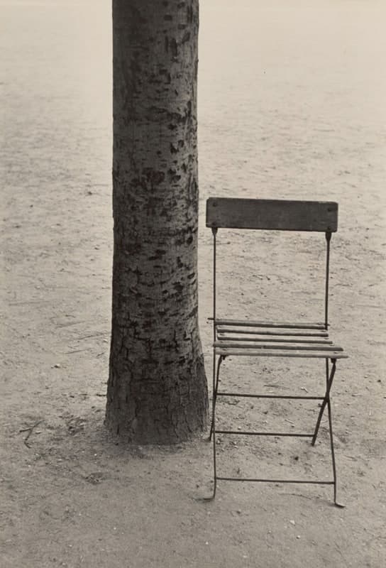 A warm-toned black-and-white photograph in upright format. A rough-barked tree trunk fills the left of the frame and runs off the top edge. Beside it, slightly right of centre, stands an empty folding chair with a plain wooden backboard and five wooden seat slats on a thin bent-steel frame with cross-braces and feet that curl to points. Both stand on dry, pale, gritty ground scattered with small stones and a few twigs, which runs flat to the top of the frame with no horizon and no sky