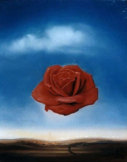 The Meditative Rose: a single large red rose floating in a clear blue sky above a bare, low-horizon plain, a drop of dew falling from it