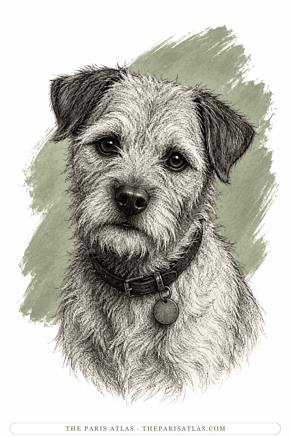Illustrated portrait of Toby-Chien