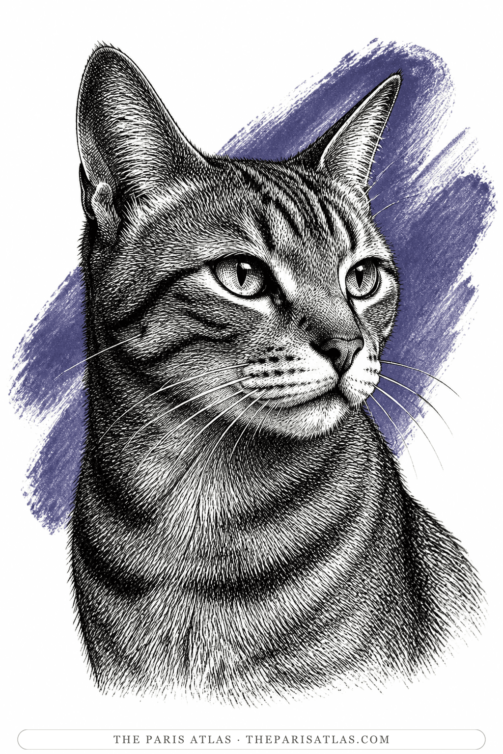 Illustrated portrait of Bébert