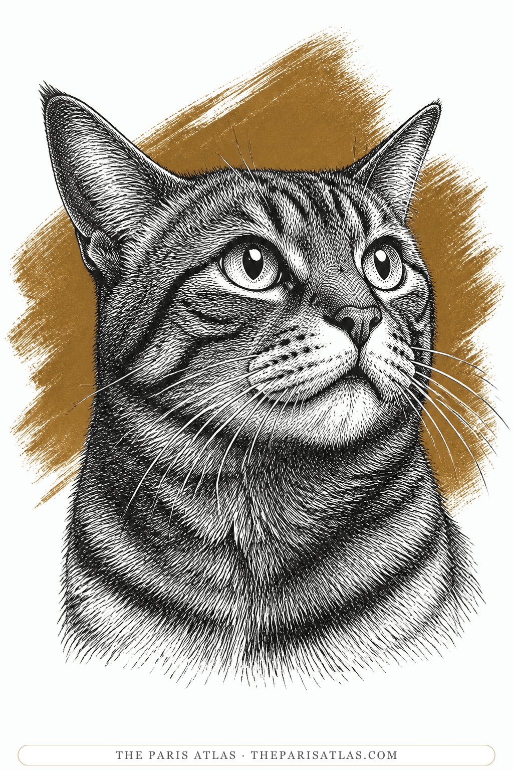Illustrated portrait of Bébert