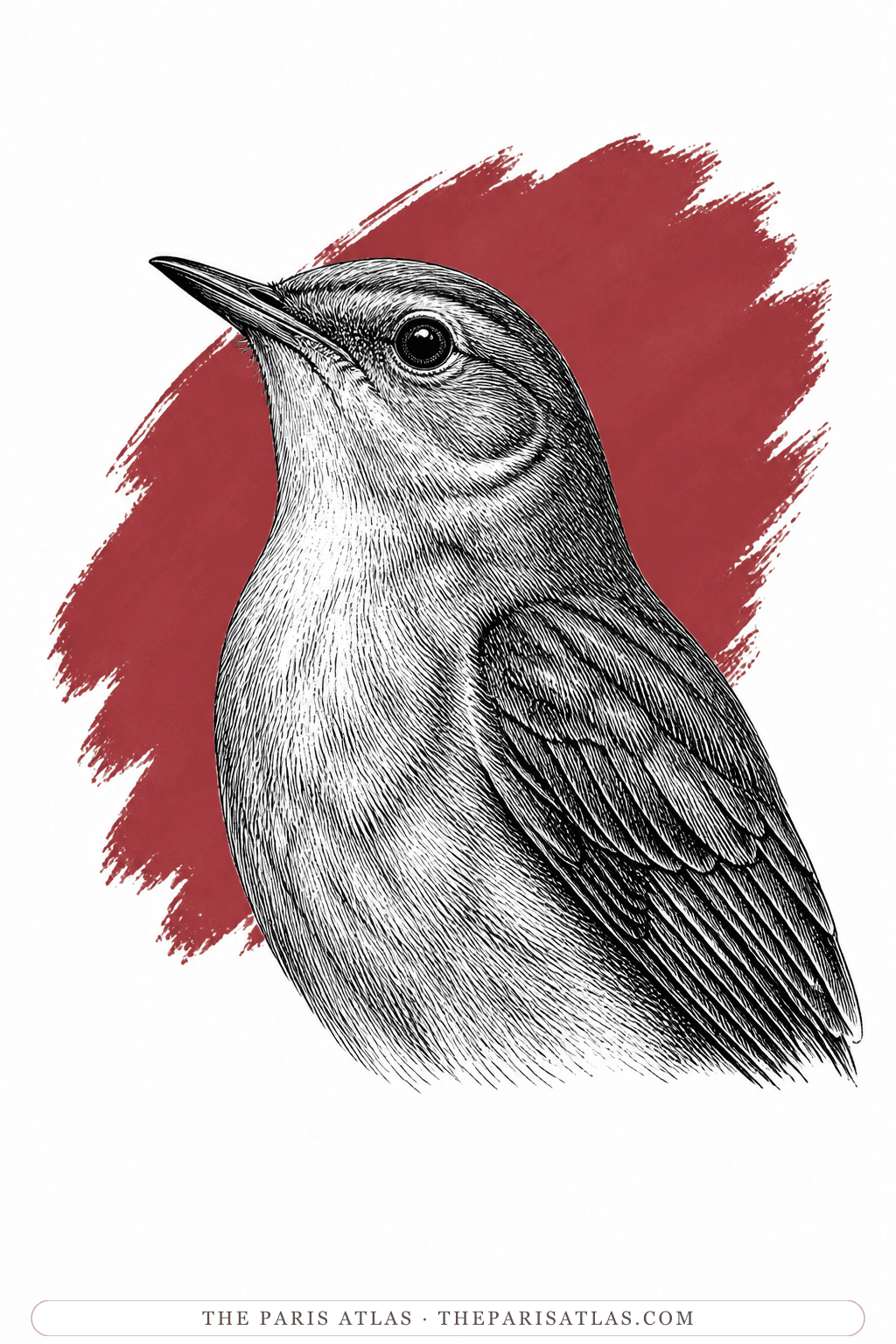 Illustrated portrait of The Nightingale
