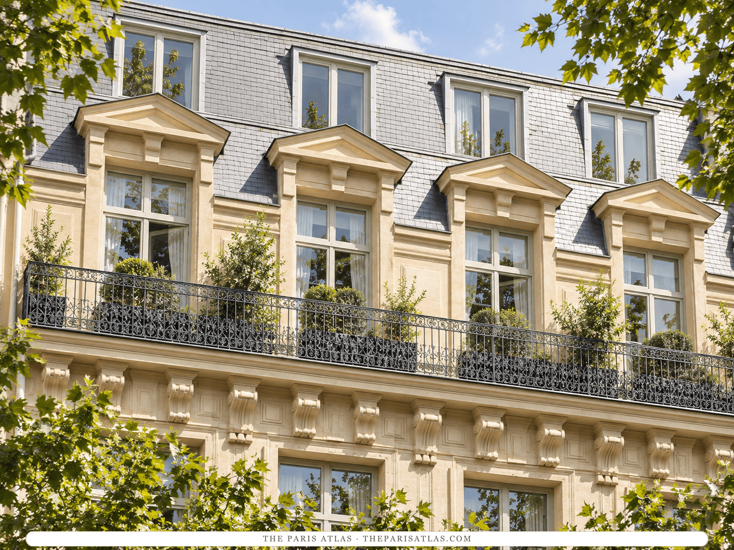 Reference-based illustration of the upper floors of Le Narcisse Blanc: pale limestone with four pedimented windows, a long iron balcony lined with potted shrubs and a grey slate mansard roof, framed by the leaves of street trees.