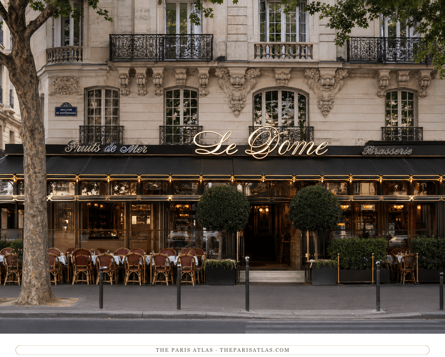 Le Dôme today, its terrace and awning under the plane trees of the Boulevard du Montparnasse