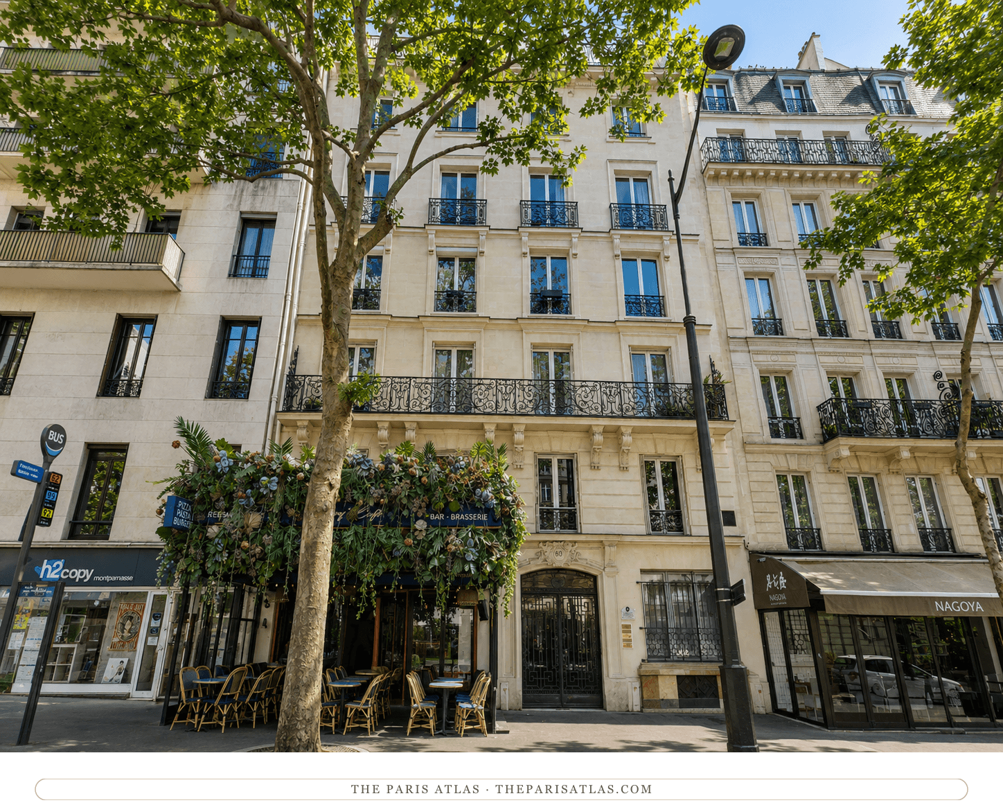 The same building at 60 boulevard du Montparnasse in colour, its brasserie terrace and pavement tables under the plane trees of the boulevard