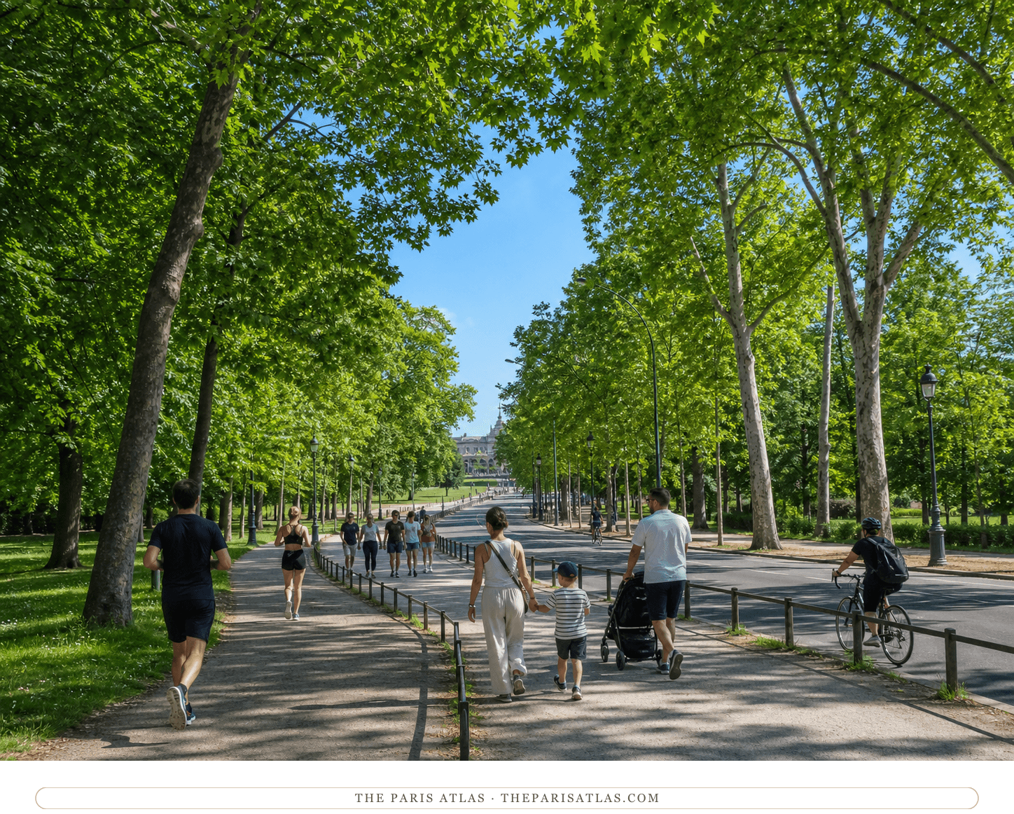 Present-day walkers and cyclists beneath the trees of the avenue de Longchamp in bright daylight