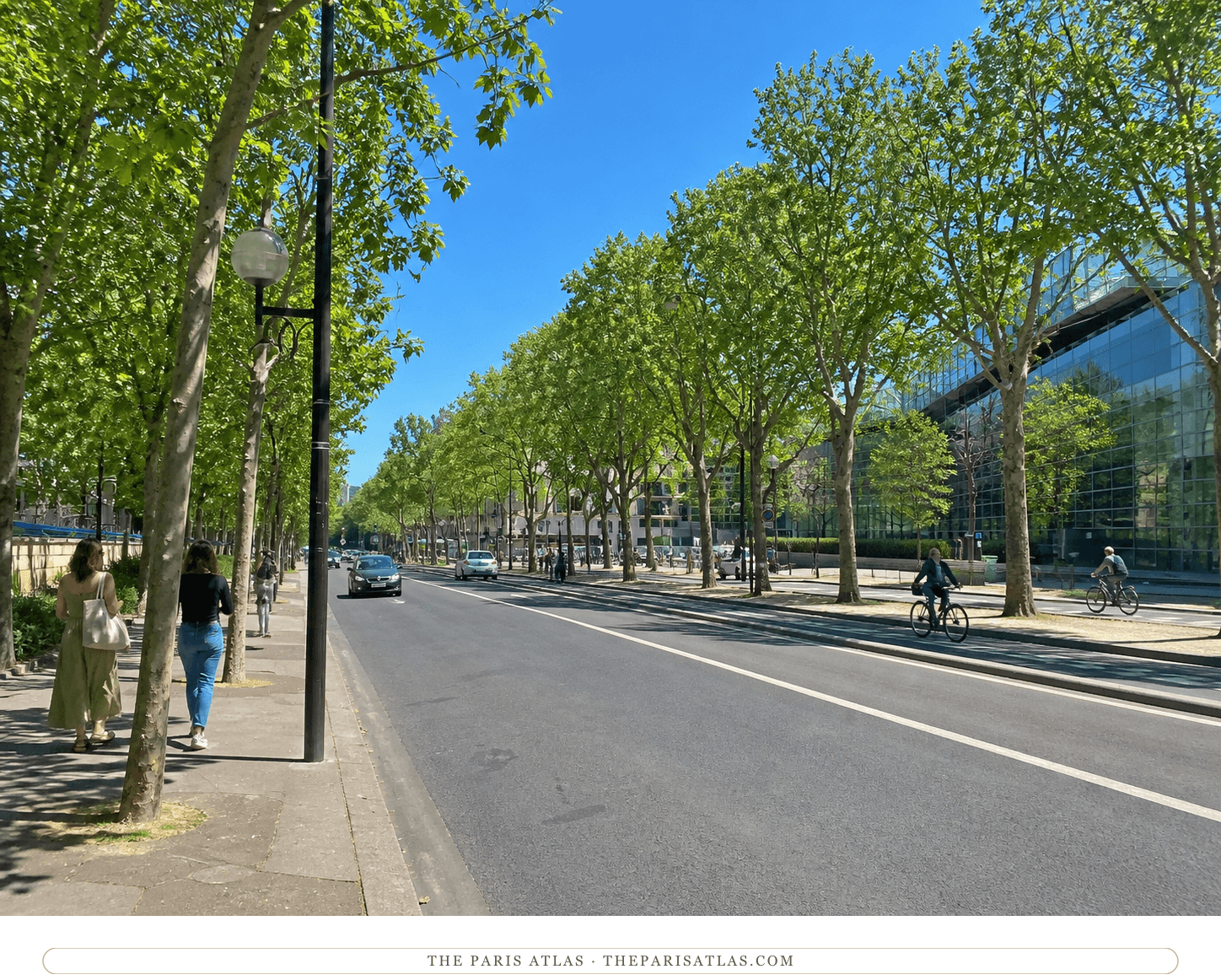 Bright present-day color view along Boulevard de Port-Royal beneath mature plane trees
