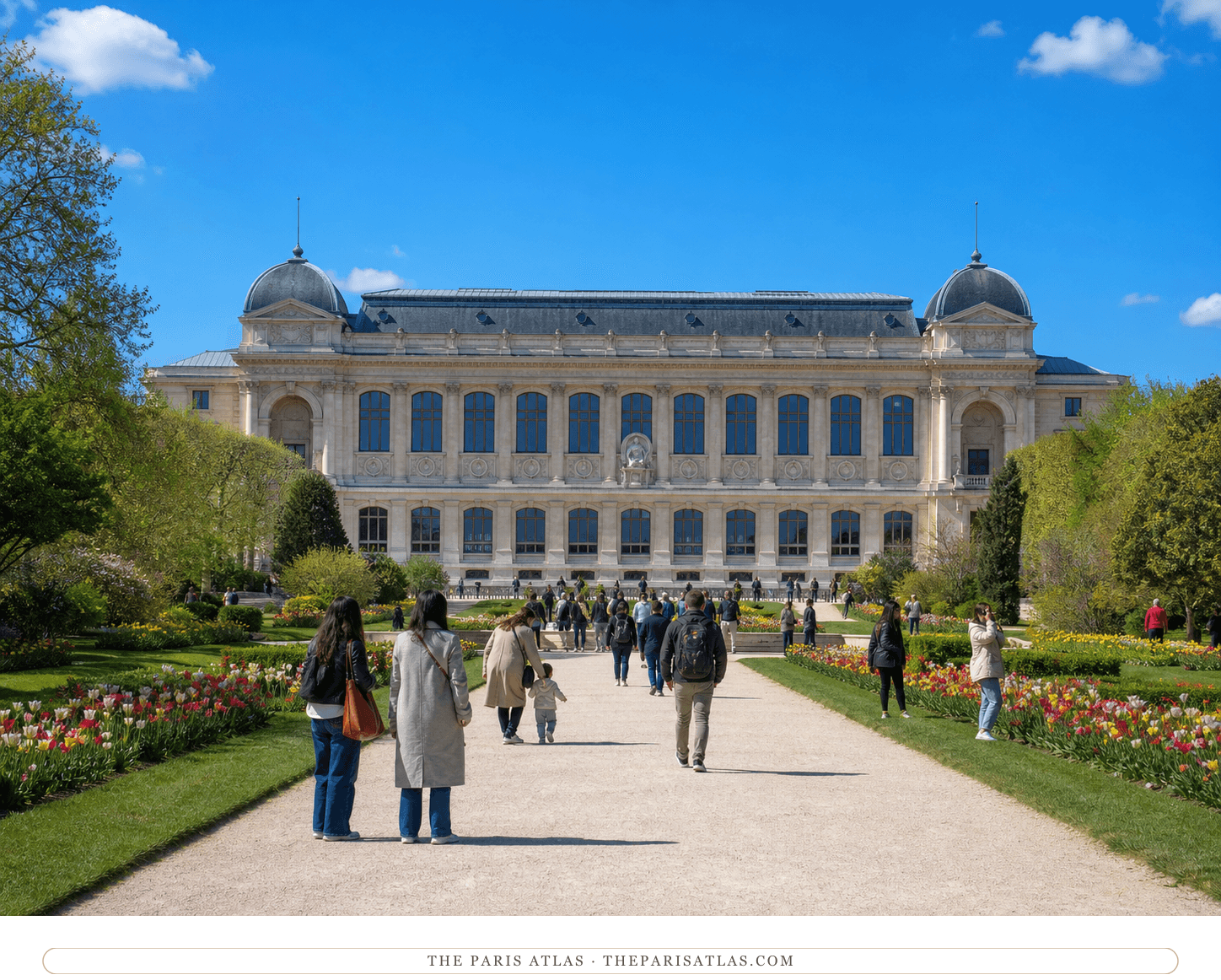 Present-day visitors walking between spring flowerbeds toward the Grande Galerie de l'Évolution