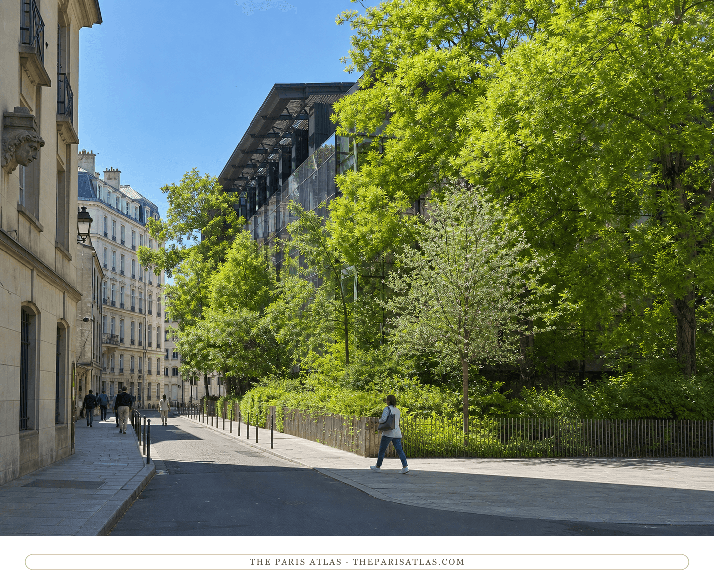 Bright present-day view of the planted Musée du quai Branly block on rue de l'Université