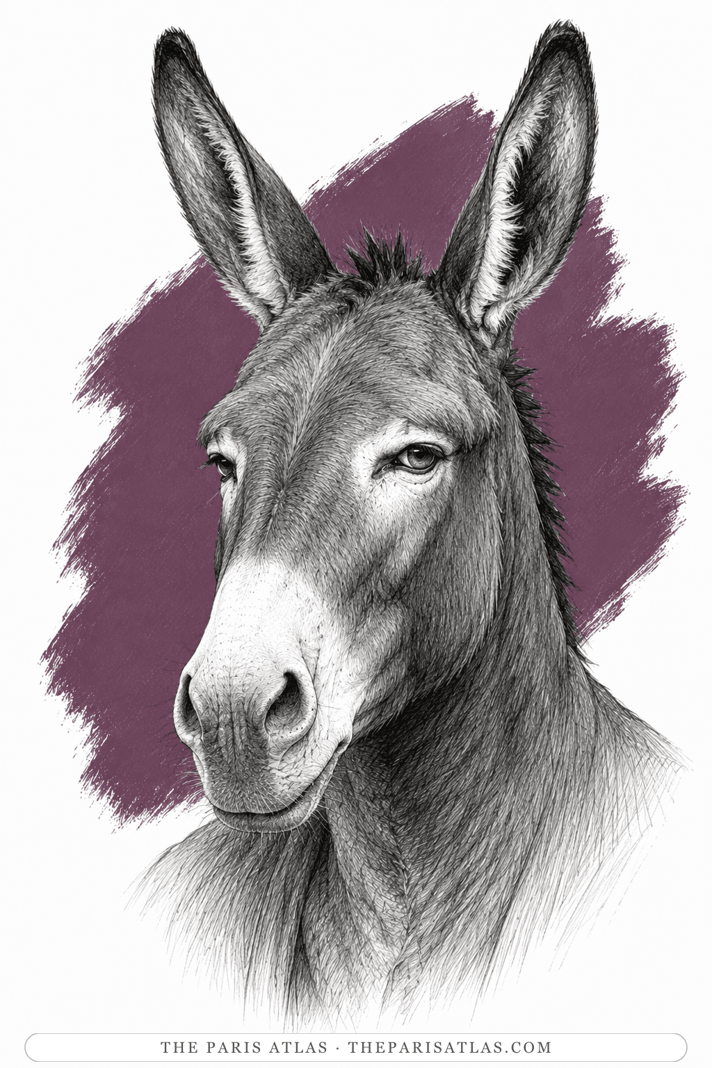 Illustrated portrait of Benjamin