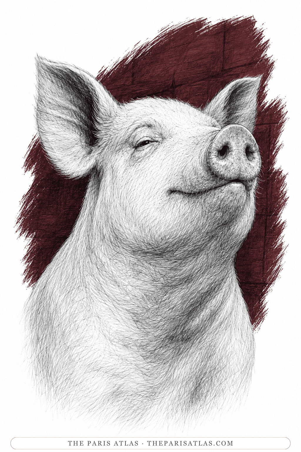 Illustrated portrait of Minimus