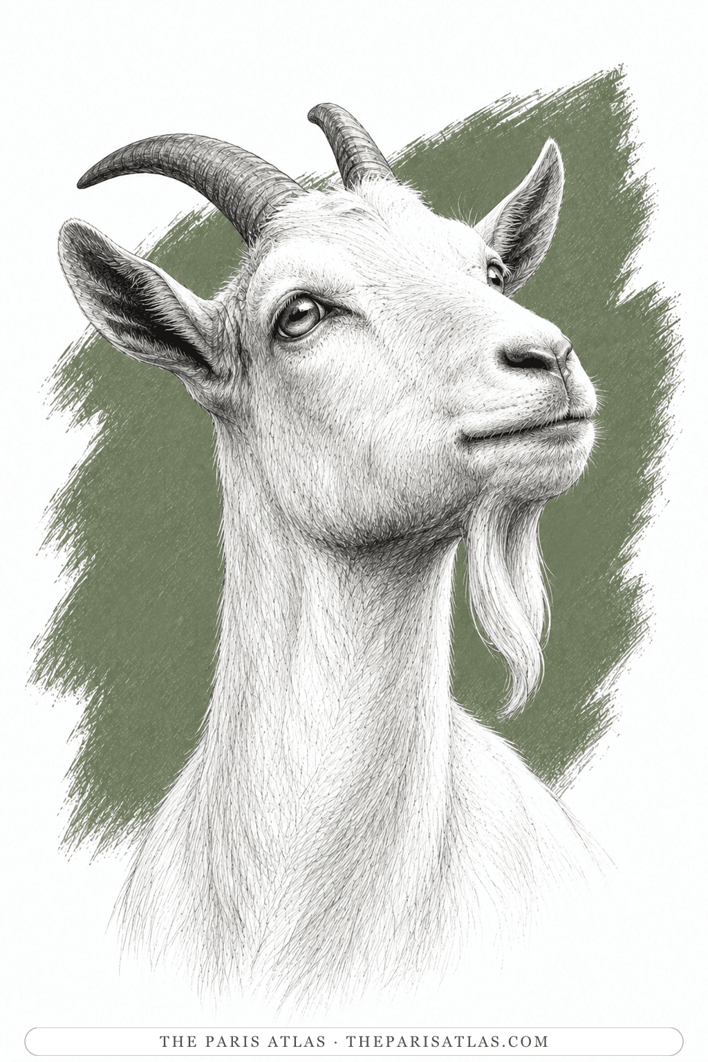 Illustrated portrait of Muriel