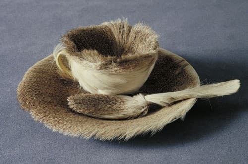 A teacup, saucer and spoon entirely covered in mottled brown and grey gazelle fur, the fur following the curve of the cup and the rim of the saucer, set against a plain pale background.